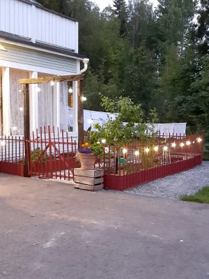 Punainen aitta.