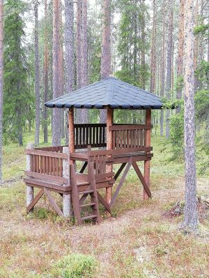 Koja av restvirke. Kalle Korhonen, Rovaniemi.