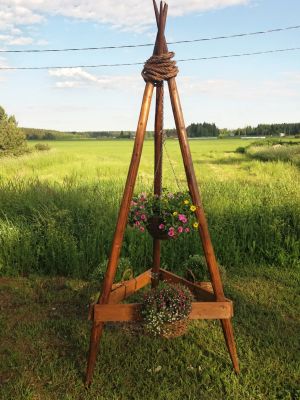 Blomställning. Siv Enqvist, Lappträsk.