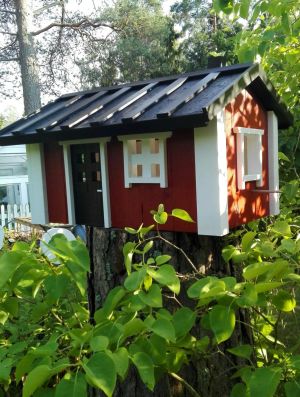 Fågelbord. Anders Wikström, Ekenäs.