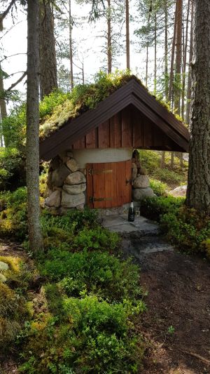 Källarbyggnad. Tero Ikonen, Siilinjärvi.