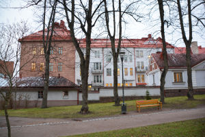 Vy från Runebergsparken mot finska församlingshemmet. Man ser flera stenhus i brunt, vitt och ljusblått. Taken är röda eller bruna.