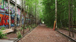Rautatiekiskot, joiden lomasta kasvaa puita, sekä graffitimaalauksien peittämä seinä.