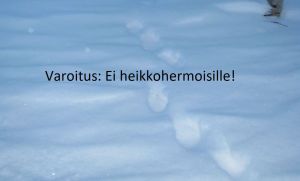 Ahman jäljet puuterilumella kaamoksessa Käsivarren Lapissa. Varoitusteksti: Ei heikkohermoisille!