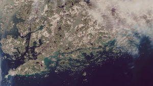 En satellitbild över Raseborg och Hangö där Pojovikens vatten ser brunt ut.