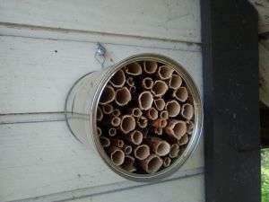 Mehiläishotelli, Vesa Lahdenpohja, Lohja