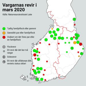 Lukes kartläggning på vargreviren i mars 2020. Karta på vargarnas revir i Finland i mars 2020.