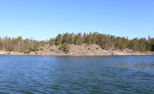 Ett berg vid havet. På berget växer många tallar. Vattnet är rätt stillsamt med bara små krusningar och en intensiv blå färg.