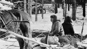 Ennen hevonen oli tärkeä apu metsätyömiehelle. Valokuva on osa Metsämuseo Luston Miehen työ -näyttelyä. Mustavalkoinen kuva, jossa metsätyömies ja hevonen.