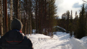 Isä on ensimmäistä kertaa sokeutumisen jälkeen rakkaassa Kuusamossa. Metsätyöt ovat taakse jäänyttä elämää, mutta mökin yhteyteen sittemmin rakennetulla isolla terassilla on helppo kulkea ja kuunnella luonnonääniä. Mies katsoo eteenpäin kohti lumista tietä.