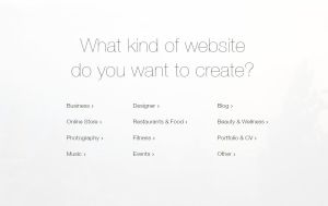 Millaisen verkkosivuston haluat luoda?
