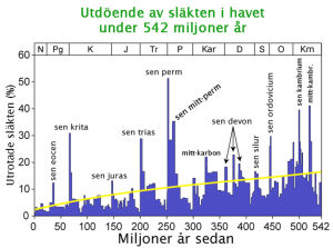 Också under sena kambrium skedde stora utdöenden, men livets utbredning och diversitet var på den tiden ännu inte så stor, så det sena ordoviciums massutdöende var relativt sett större. Diagram över de största massutdöendena under de gångna 540 miljonerna åren.