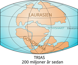 Kontinenternas placering under det sena ordovicium. Allt land på jorden befann sig på södra halvklotet, i norr dominerade superoceanen Panthalassa. Karta över världen under ordovicium.