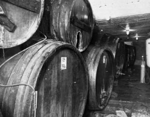 Kookkaita puisia oluttynnyreitä Keravan Panimo Oy:n kellaritiloissa 1930-luvulla