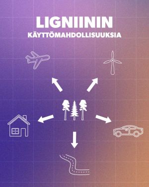 Puusta saatavalle ligniinille on monia käyttömahdollisuuksia eri aloilla, esimerkiksi auto-, rakennus- ja pinnoiteteollisuudessa. Infografiikka lingiinin käyttömahdollisuuksista. Niitä ovat muun muassa autot, lentokoneet, tuulimyllyjen siivet, tiet ja rakennukset.