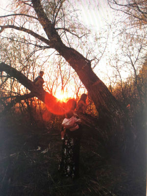 Suuri puu ilta-auringossa. Vastavalossa näkyy tummina hahmoina kaksi puussa kiipeilevää lasta ja puun edessä nainen pieni lapsi sylissään.