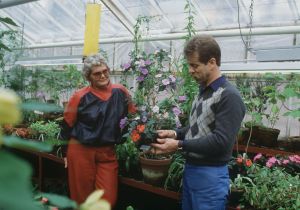 Tarja Flemming ja puutarhuri Arno Kasvi tutkivat kukkaistutuksia kasvihuoneessa.