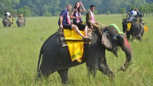 Elefantridning är populärt och en lukrativ affärsverksamhet. Två turister rider på en elefant,