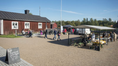Skördemarknaden vid Rosenlunds prästgård