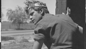 Nuori junapummi tavaravaunussa katselee ohikiitävää maisemaa, 1940