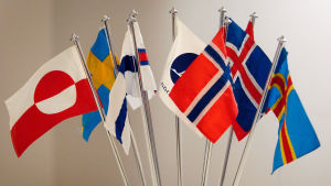 Norden är viktig för oss, anser Johanna Kiviniemi. De nordiska flaggorna.