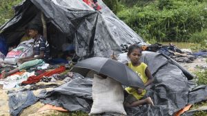 Över 430 000 rohingyer har flytt till Bangladesh sedan den 25 augusti. Över 430 000 rohingyer har flytt till Bangladesh sedan den 25 augusti.