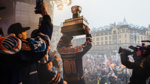 De flesta förväntar sig att Tappara firar mästerskap även nästa vår. Tappara firar mästerskap.