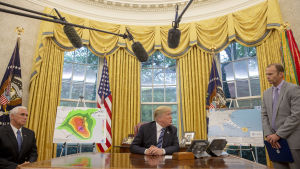 Vice president Mike Pence, president Trump och Brock Long från katastrofmyndigheten FEMA talar om orkanen Florence i Ovala rummet. 11.9. 2018. Vice president Mike Pence, president Trump och Brock Long från katastrofmyndigheten FEMA talar om orkanen Florence i Ovala rummet. 11.9. 2018.