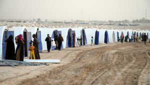 Norska flyktingrådet varnar för en humanitär katastrof bland tiotusentals Fallujabor som flydde till tältläger i öknen Norska flyktingrådet varnar för en humanitär katastrof bland tiotusentals fallujabor som flydde till tältläger i öknen