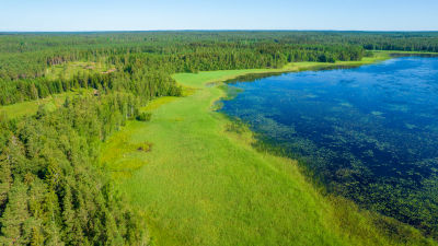 Natur fotat från luften.