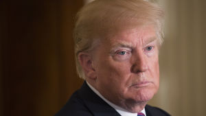 Trump har under den senaste veckan upprörts över marschen genom Mexico mot USA:s gräns. Porträtt av Donald Trump, mjukt ljus och presidenten tittar nästan in i kameran.