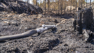 Brandslag i förkolnat landskap.