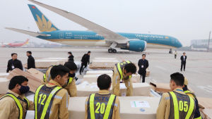 Kvarlevorna av de kvävda migranterna flögs till Hanoi efter identifiering och obduktion. Likkistor staplade bredvid ett turkosfärgat flygplan med beteckningen "Vietnam Airlines"