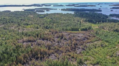 Drönarvy över skogsbrandsområde.
