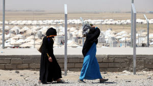 Det finns redan flera miljoner interna flyktingar i Irak. Offensiven för att återta Mosul av terrorgruppen IS kan tvinga en miljon nya irakier att fly sina hem. Över tiotusen människor flydde undan de senaste striderna till flyktinglägret Dibaga i irakiska Kurdistan, där det redan finns 1,6 miljoner interna flyktingar