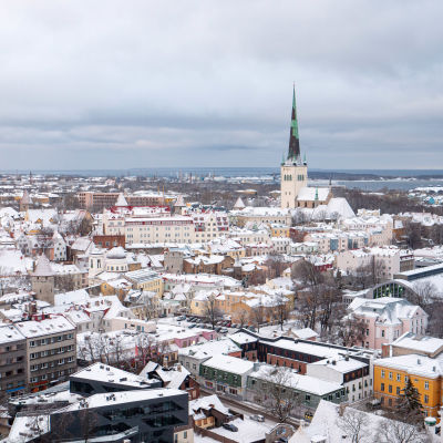 Kaupunkinäkymä ylhäältä, Tallinnan vanha kaupunki, Toompean linna
