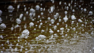 Väldigt regniga och väldigt torra perioder har blivit vanligare. Regndroppar faller ner på en brungrön vattenyta och bildar bubblor som flyter