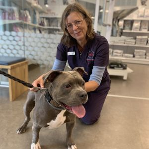 En kvinna i veterinärkläder håller i en hund