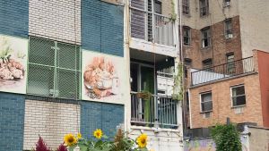Hemmet i Brooklynstadsdelen Williamsburg är till stora delar byggt av använda fraktcontainers. Jag ville bygga något unikt och göra det förmånligt, säger David Boyle. Hus byggt av fraktcontainers i Brooklyn, New York.