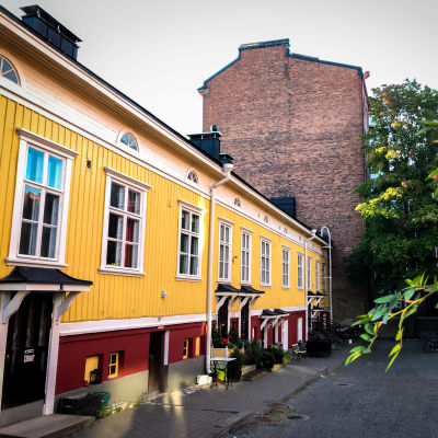 Vuokratontti Uusimmat Sisallot Yle Fi