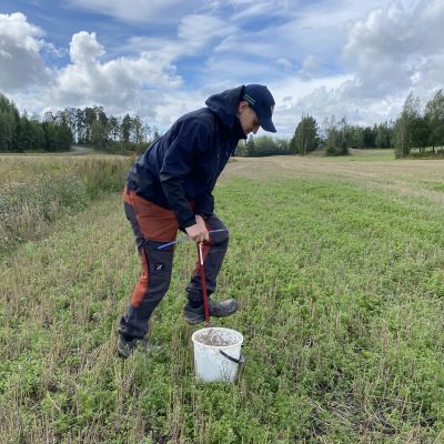 Emil Hästbacka tar jordprover från åker i Raseborg.