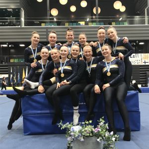 TeamGym HGK vann FM-guld (fotokälla: Marie Thodén). TeamGym HGK vann FM-guld (fotokälla: Marie Thodén).