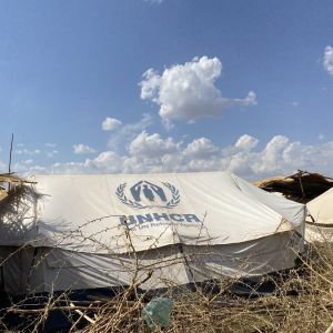 FN-tält i flyktingläger i Tigray.