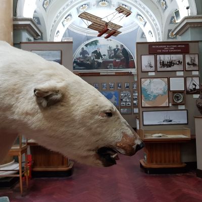 En uppstoppad isbjörn på museum i St Petersburg