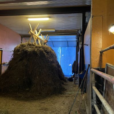 Perinteisen kekripukin rakentaja aikoo eläköityä Kajaanin kekrijuhlilta