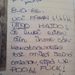 Ote päiväkirjasta, kun Dingo hajosi, 8.10.1989 
