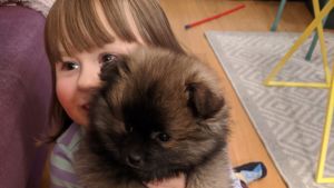 Fyraåringen leker ofta med hunden men har även sagt "jag önskar hunden aldrig kommit" En lurvig hundvalp gosar med ett barn.