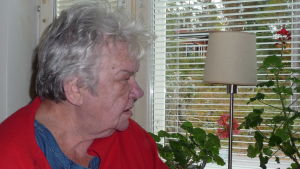 Rosie vid sitt köksfönster i hemmet i Karis Rosie Westerlund tittar ut genom sitt köksfönster, pelargoner och bordslampa på fönsterbrädet