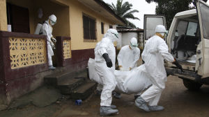 Ebolaviruset, för ivrigt för sitt eget bästa. Bilden är från ebolautbrottet i Liberia 2014. Sjukskötare i Liberia bär ett ebolaoffer.