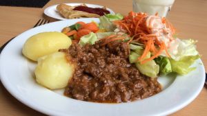 Kvalitetskraven för livsmedlen diskuterades livligt. Många tyckte de var bra, men funderade på vad de betyder i praktiken. lunchportion med potatis och köttfärssås
